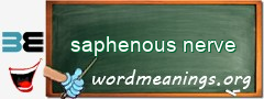 WordMeaning blackboard for saphenous nerve